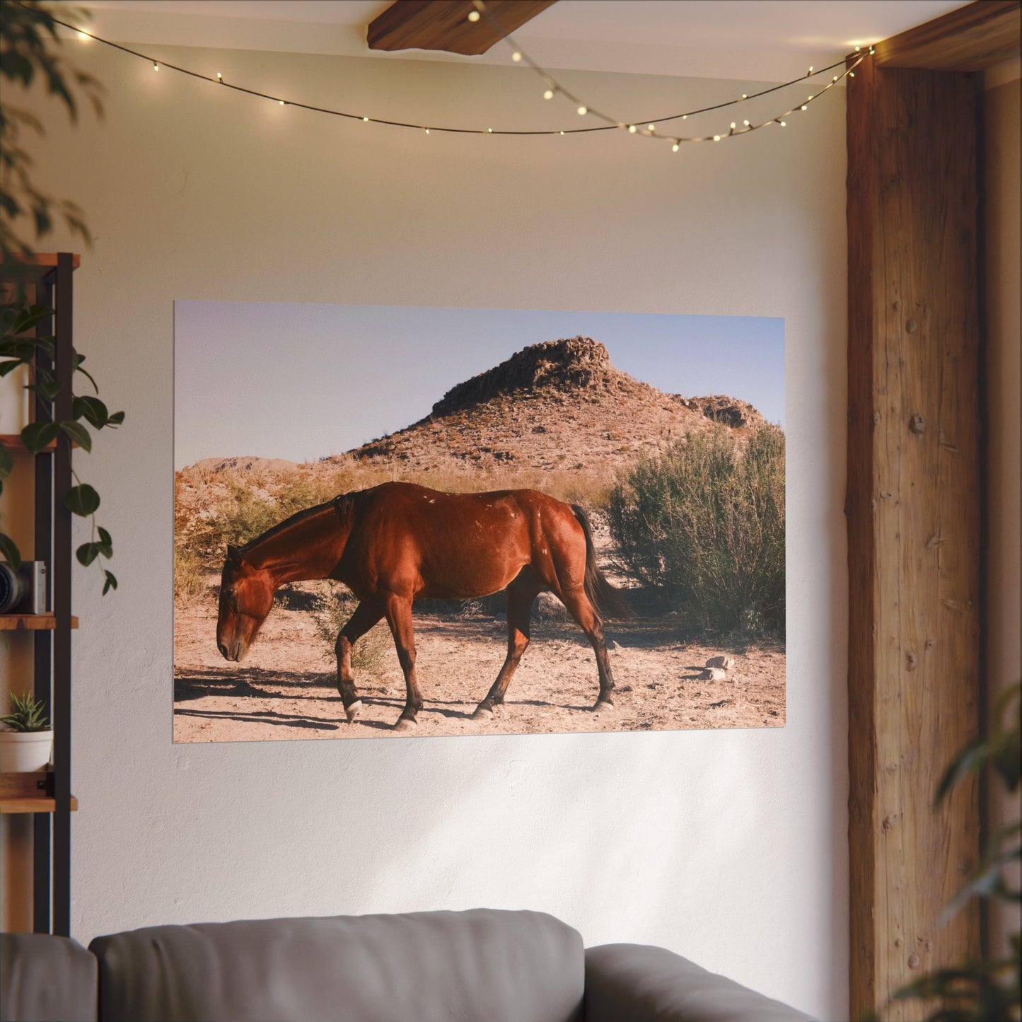 Wild horse of Big Bend grazing - Archival Poster