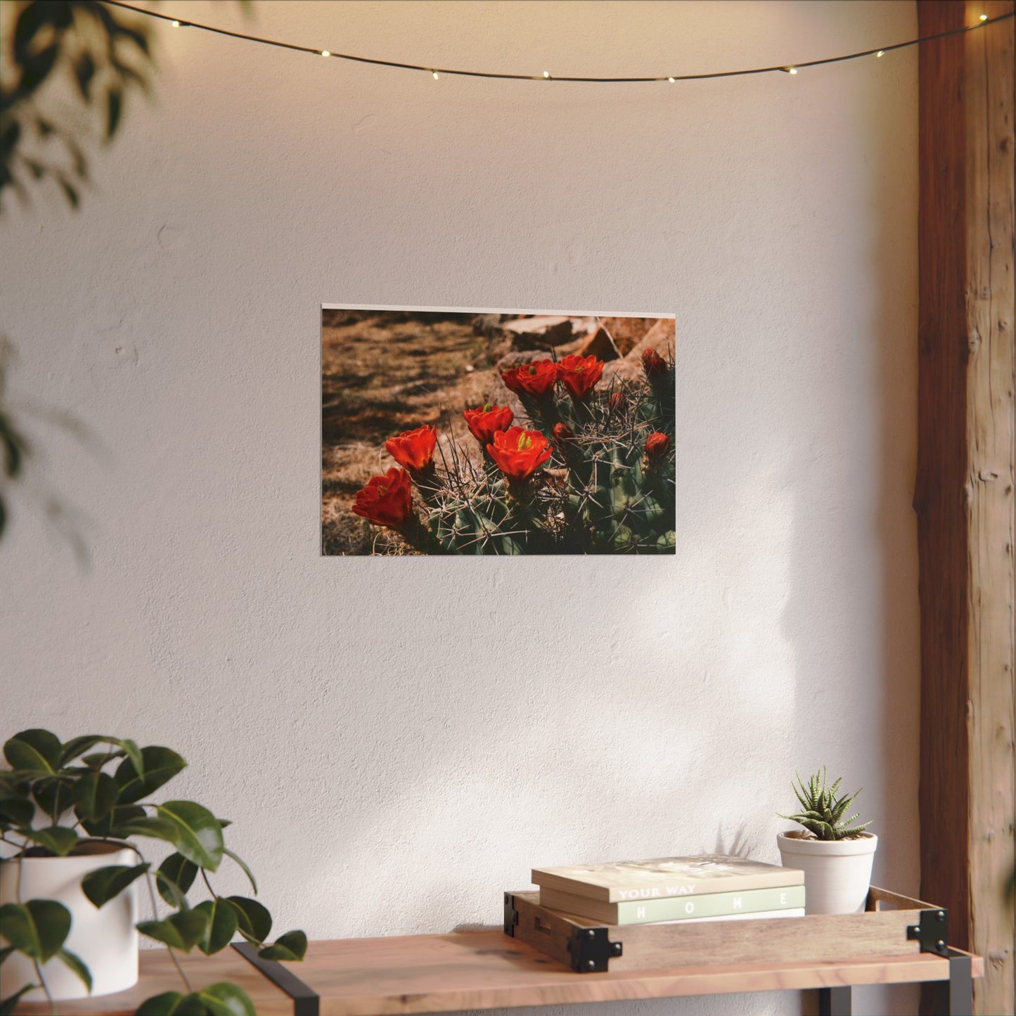 Red Cactus Blossoms in Big Bend Ranch State Park, TX - Archival Poster