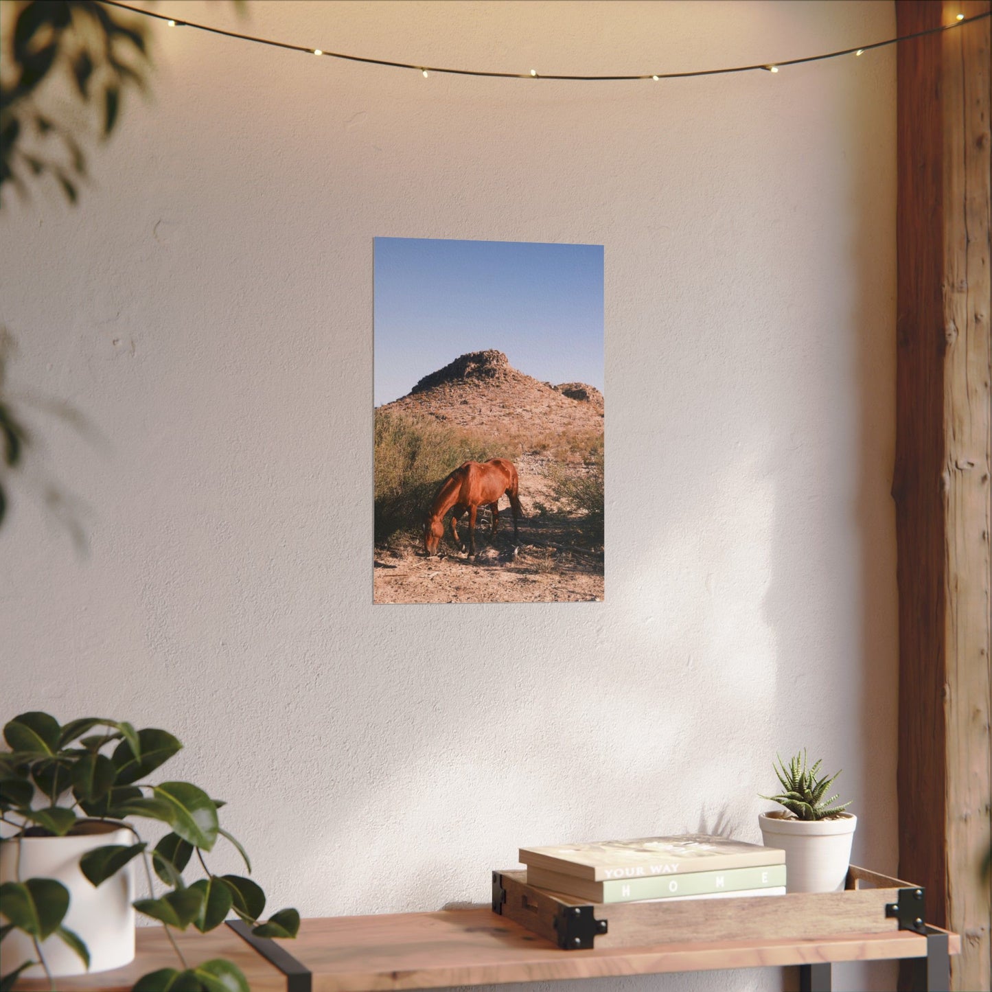 Wild horse of Big Bend grazes, TX - Archival Poster