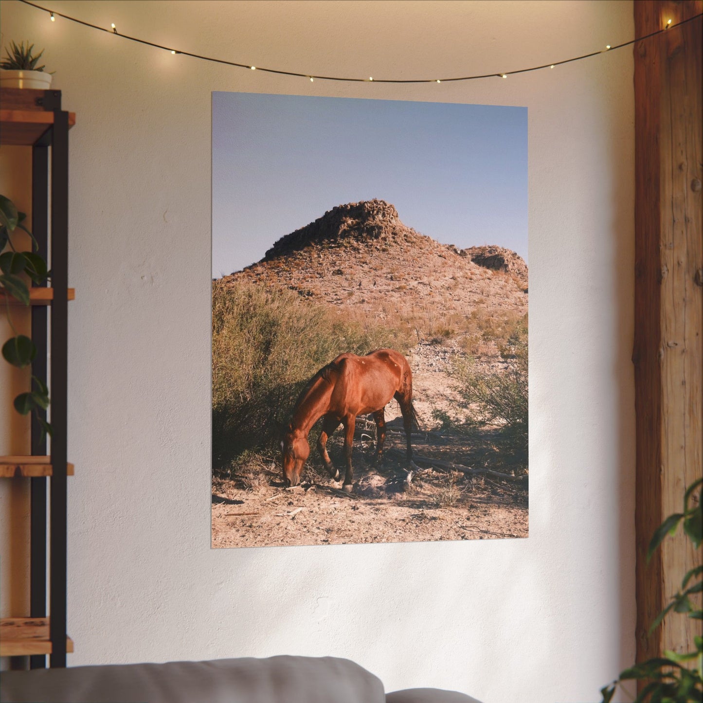 Wild horse of Big Bend grazes, TX - Archival Poster