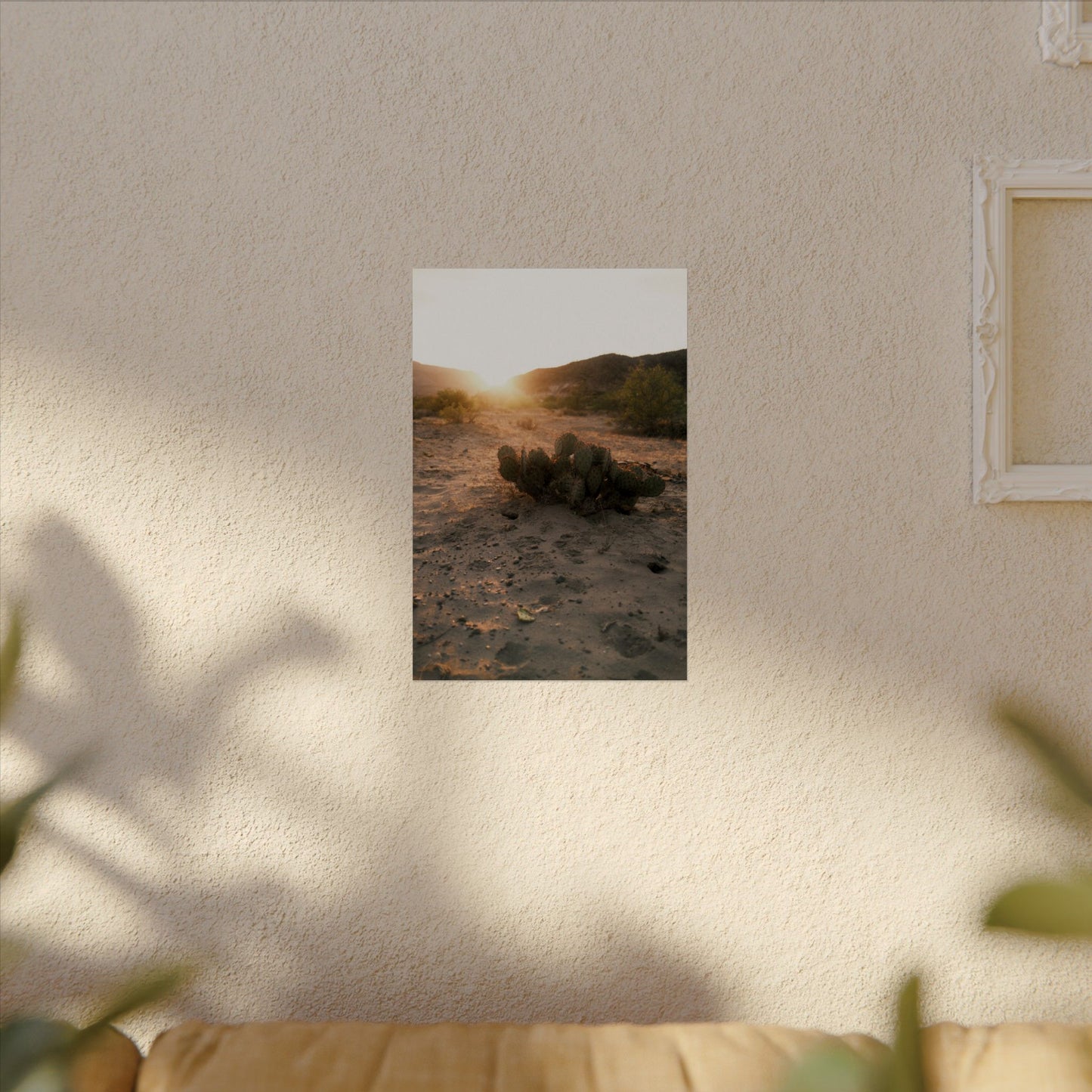 Cactus greets the sun. Big Bend National Park, TX - Archival Poster