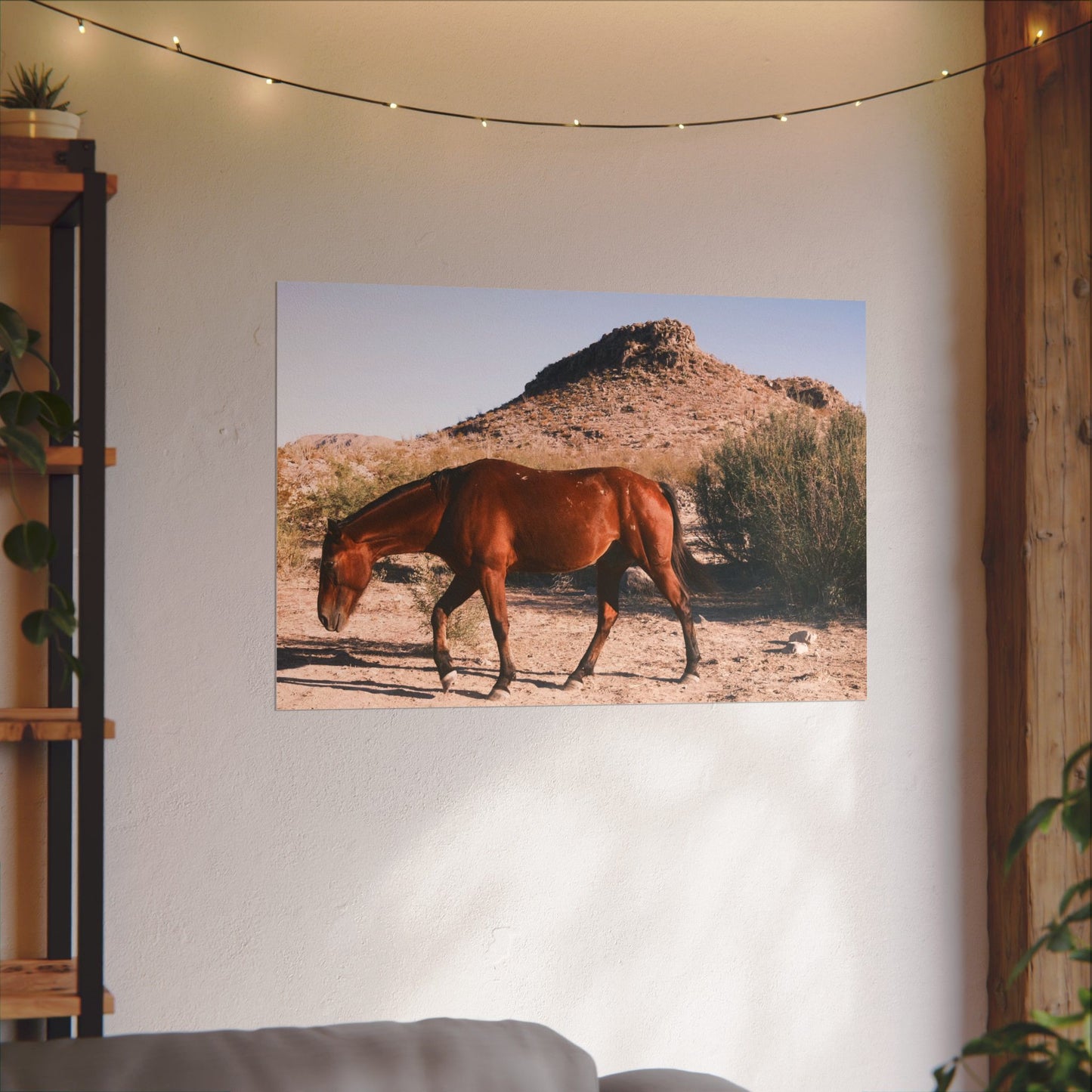 Wild horse of Big Bend grazing - Archival Poster
