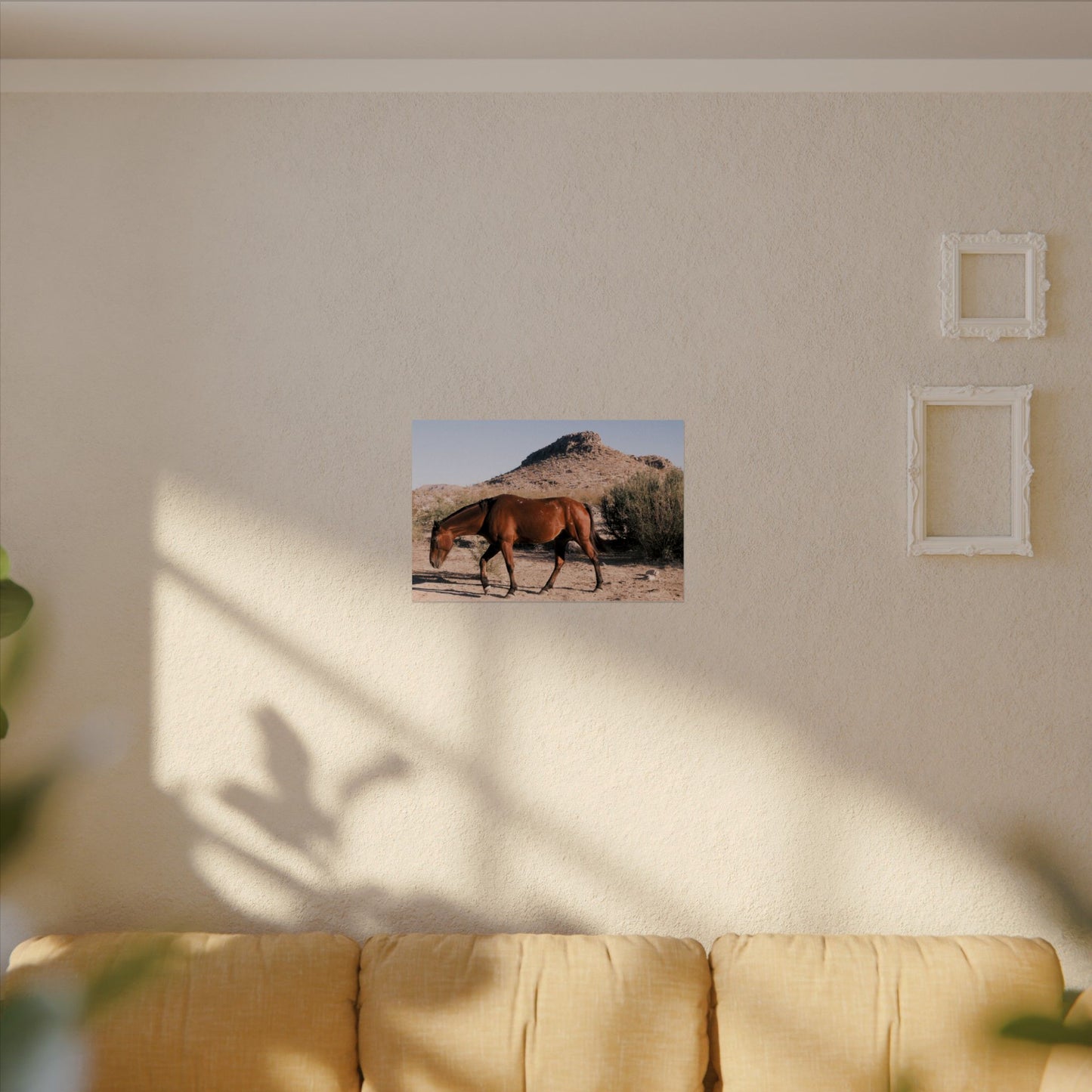 Wild horse of Big Bend grazing - Archival Poster