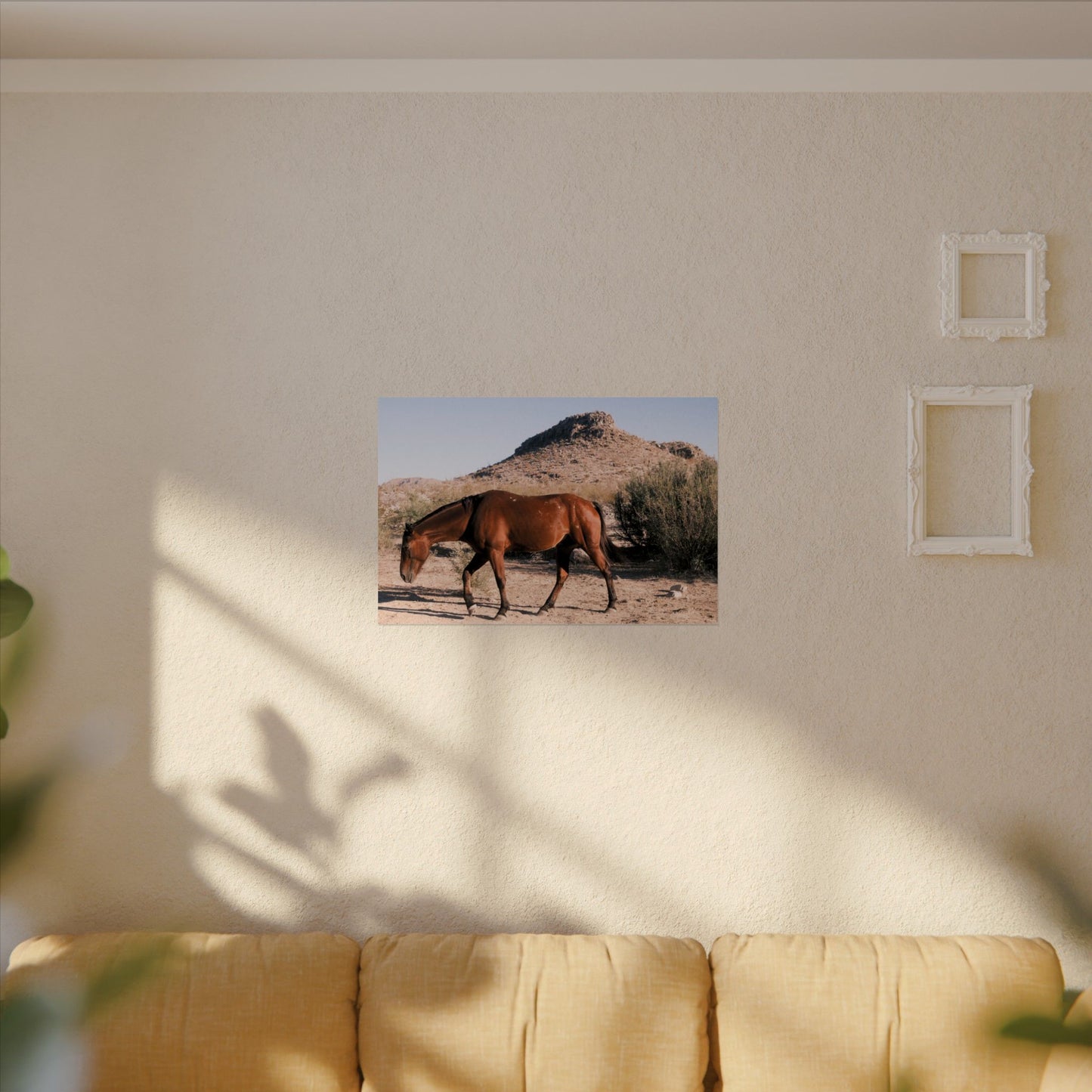 Wild horse of Big Bend grazing - Archival Poster