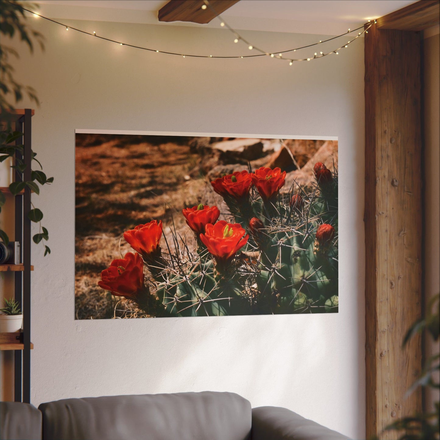 Red Cactus Blossoms in Big Bend Ranch State Park, TX - Archival Poster