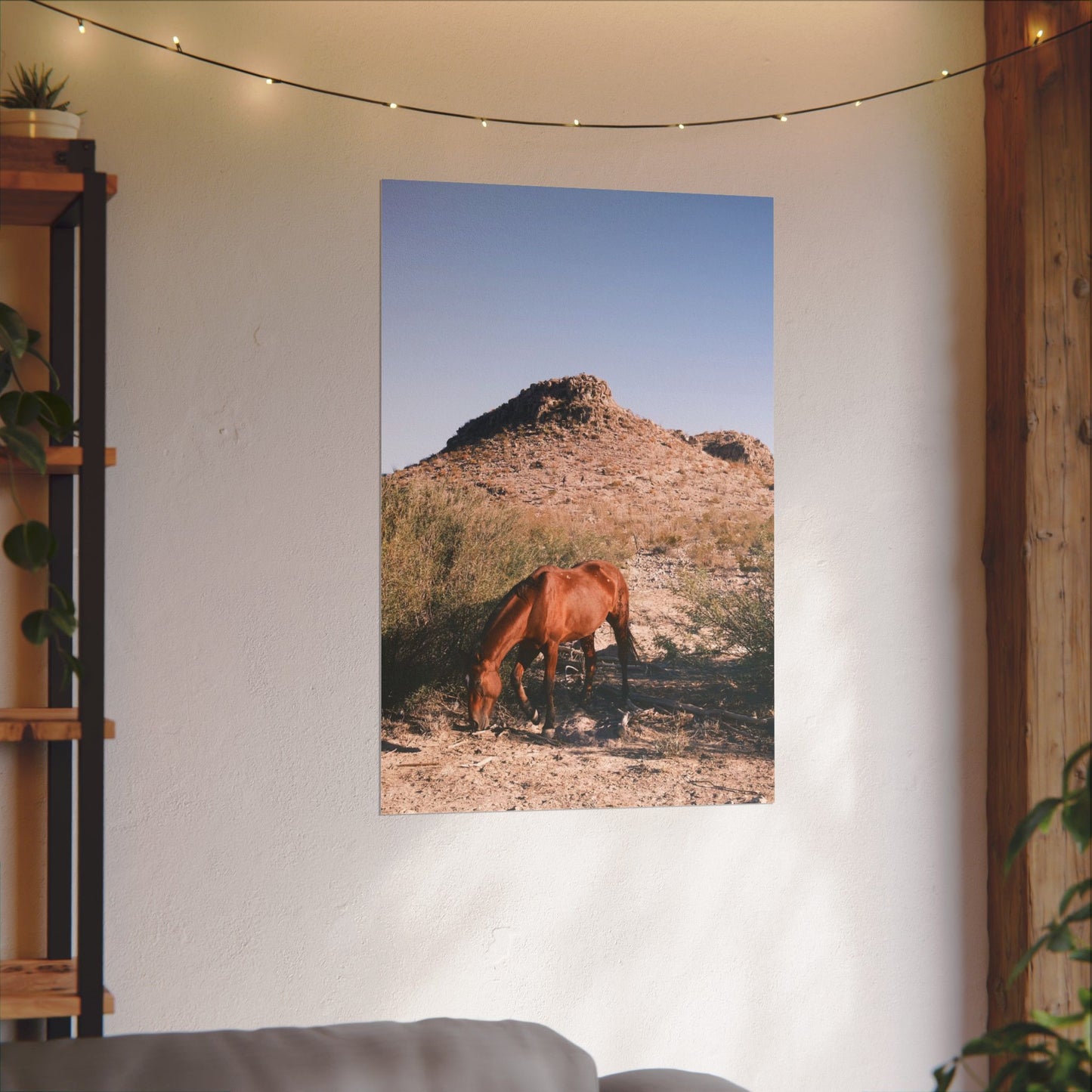 Wild horse of Big Bend grazes, TX - Archival Poster
