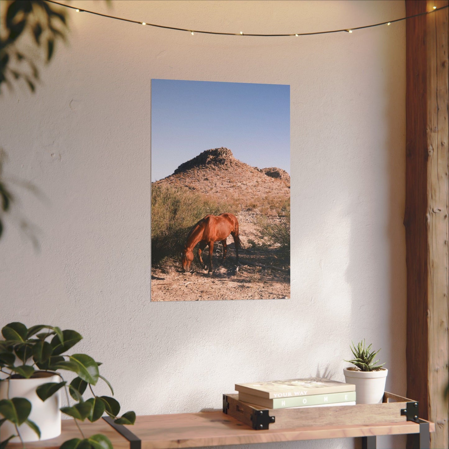 Wild horse of Big Bend grazes, TX - Archival Poster