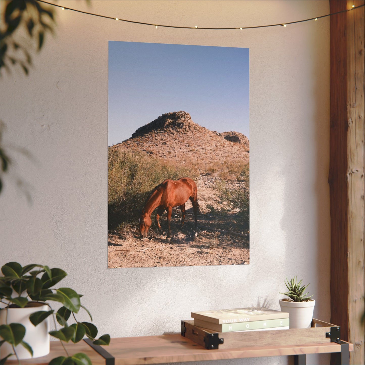 Wild horse of Big Bend grazes, TX - Archival Poster