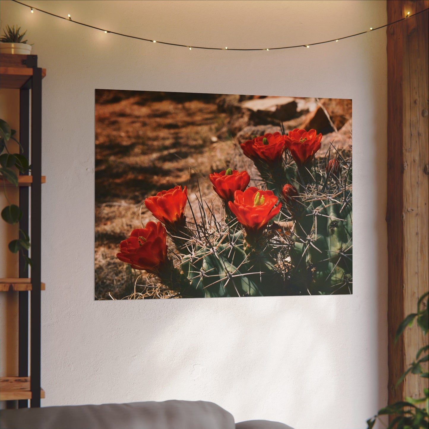 Red Cactus Blossoms in Big Bend Ranch State Park, TX - Archival Poster
