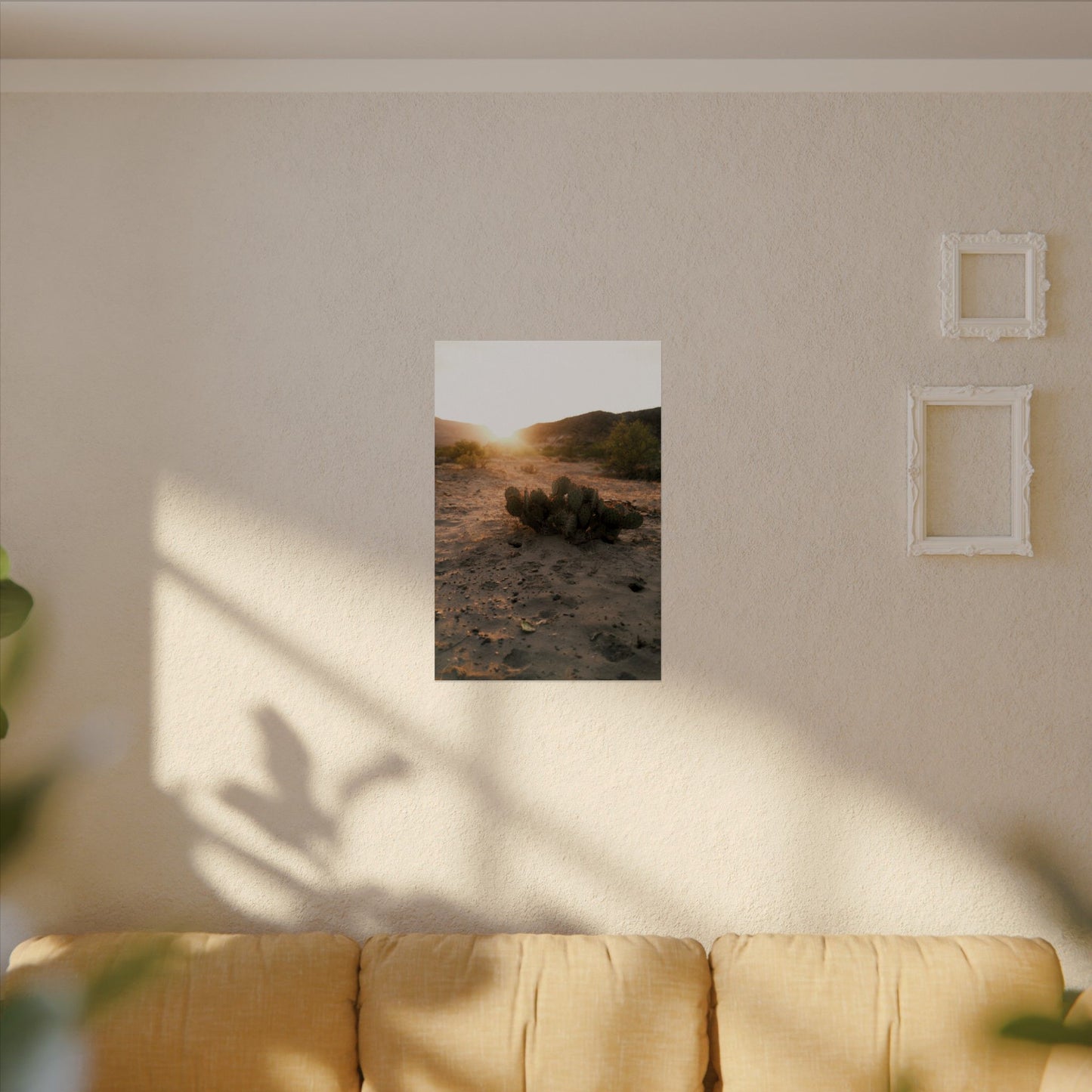 Cactus greets the sun. Big Bend National Park, TX - Archival Poster