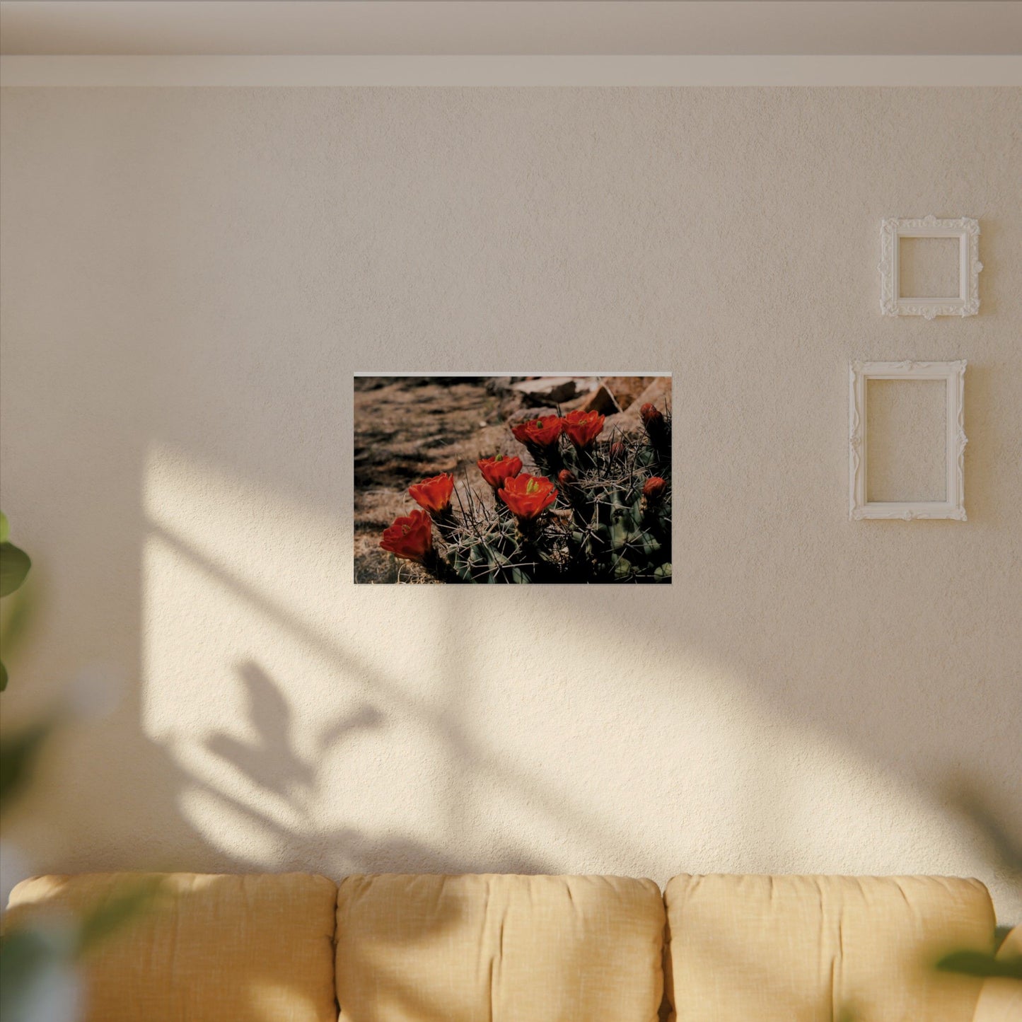 Red Cactus Blossoms in Big Bend Ranch State Park, TX - Archival Poster