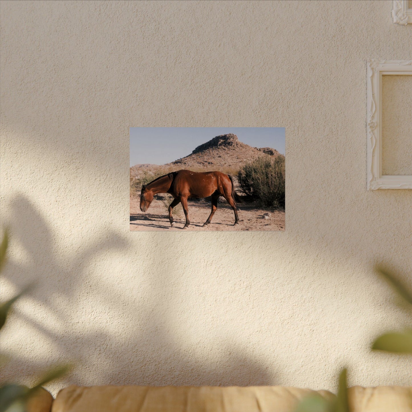 Wild horse of Big Bend grazing - Archival Poster