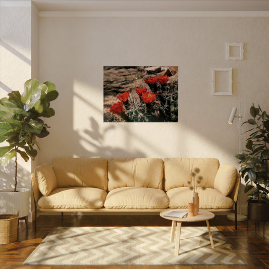 Red Cactus Blossoms in Big Bend Ranch State Park, TX - Archival Poster