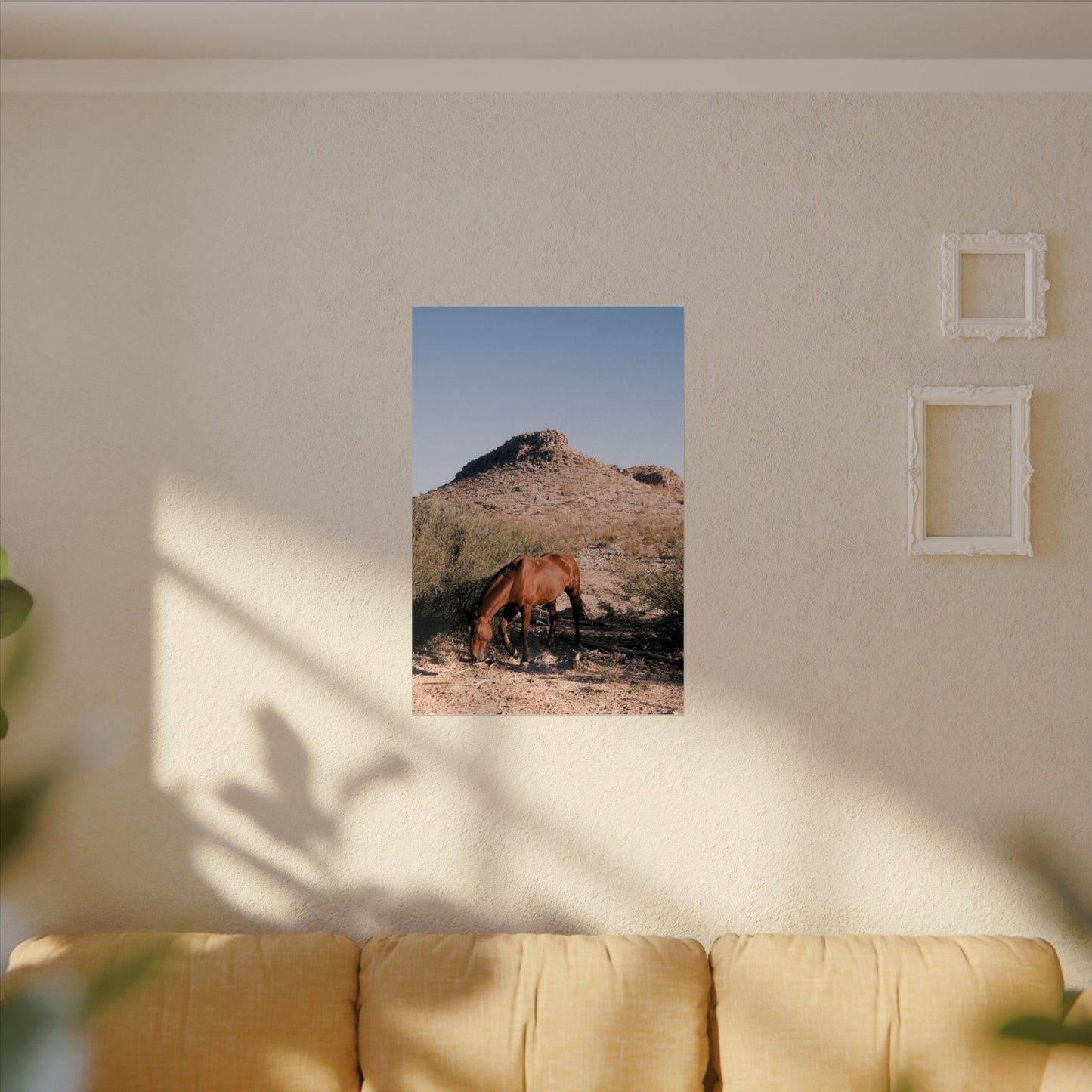 Wild horse of Big Bend grazes, TX - Archival Poster