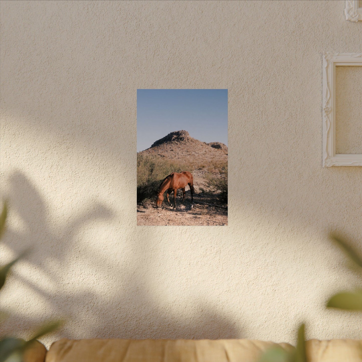 Wild horse of Big Bend grazes, TX - Archival Poster