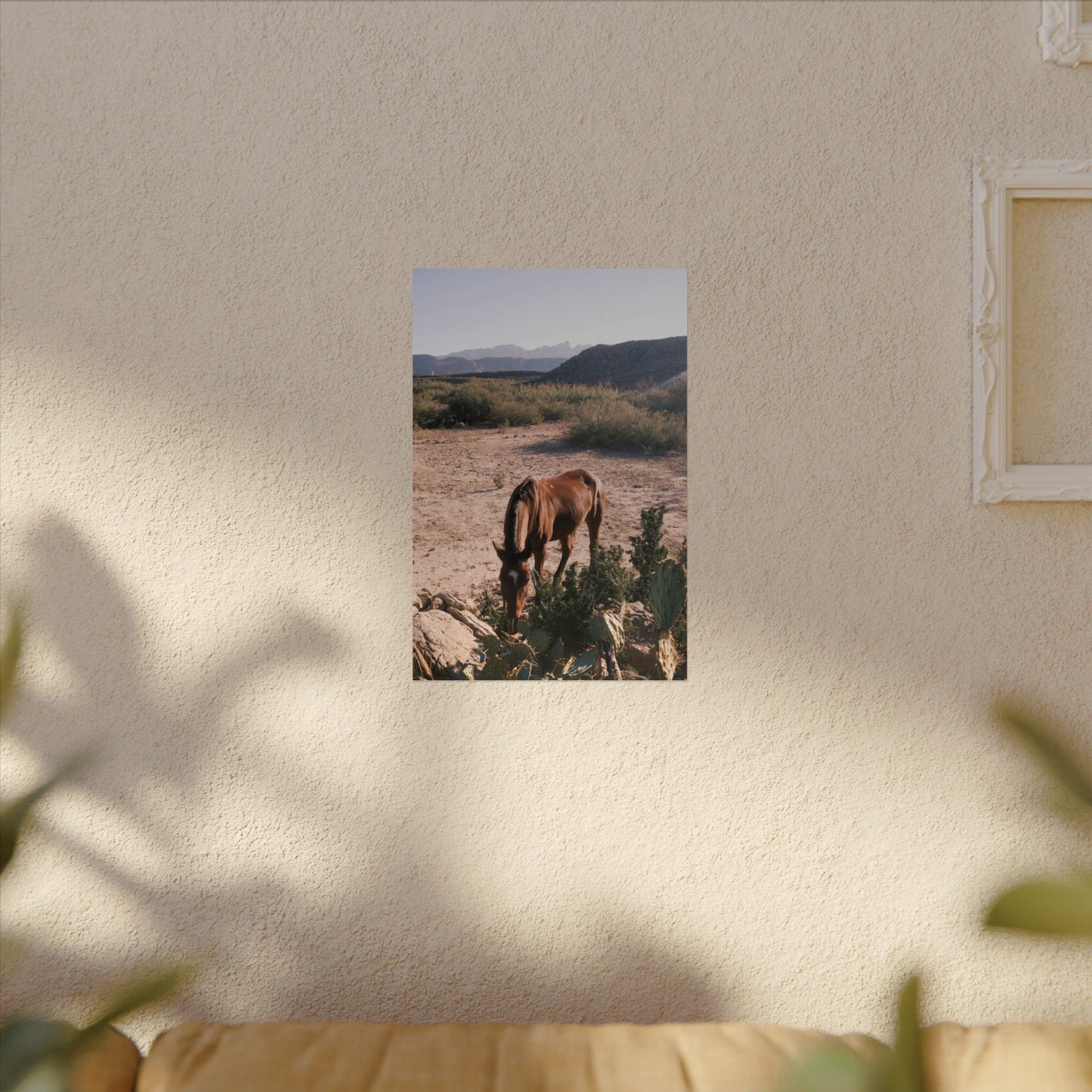Wild horse of Big Bend grazes by a cactus, TX - Archival Poster