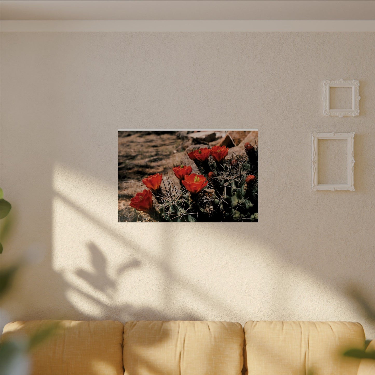 Red Cactus Blossoms in Big Bend Ranch State Park, TX - Archival Poster