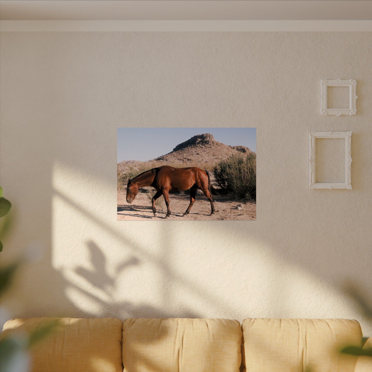 Wild horse of Big Bend grazing - Archival Poster