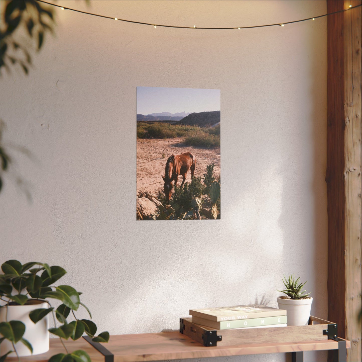 Wild horse of Big Bend grazes by a cactus, TX - Archival Poster