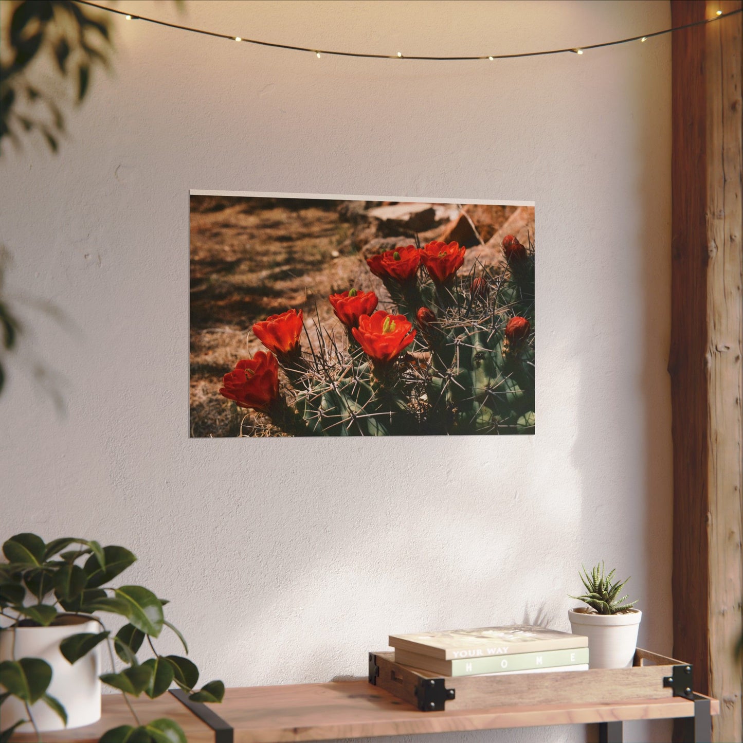 Red Cactus Blossoms in Big Bend Ranch State Park, TX - Archival Poster