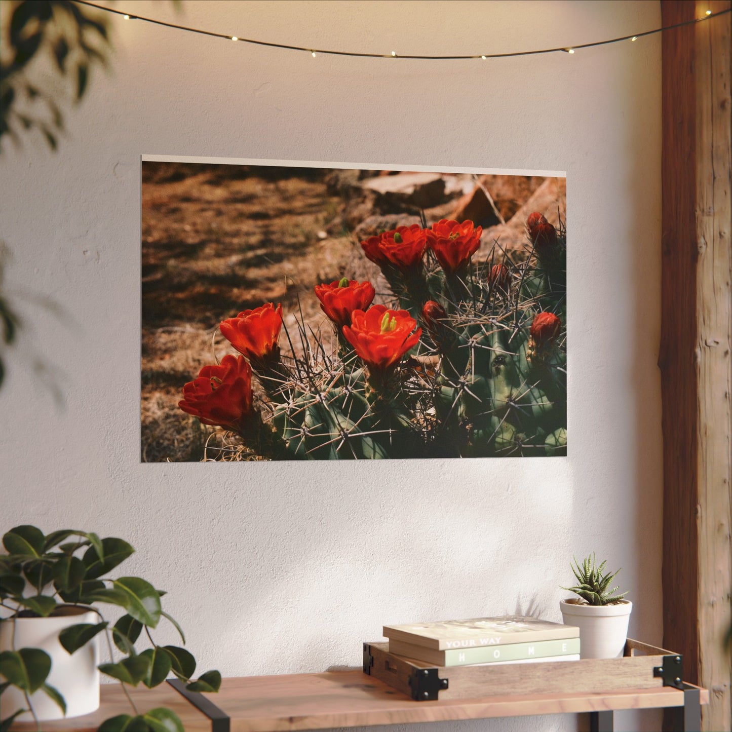 Red Cactus Blossoms in Big Bend Ranch State Park, TX - Archival Poster