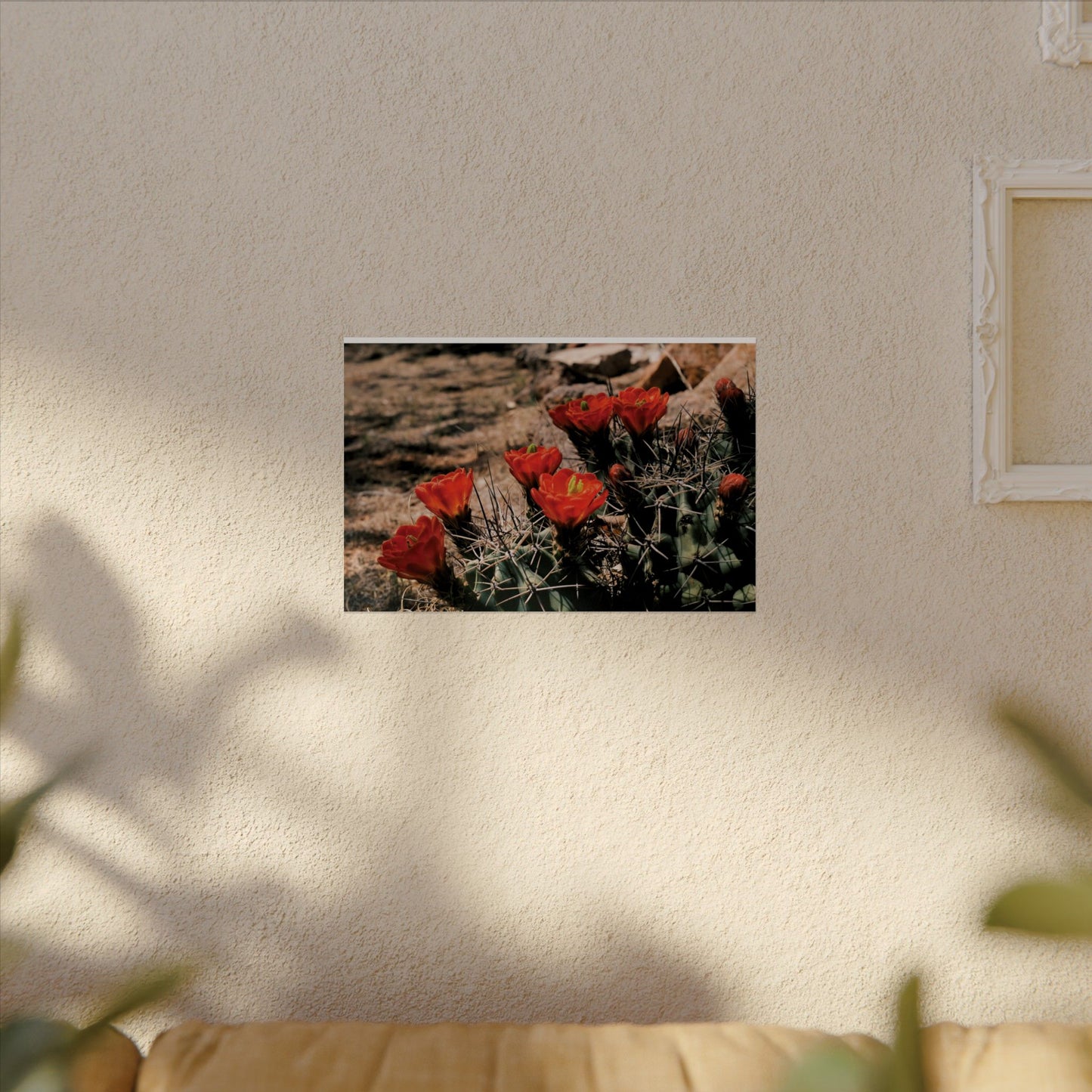 Red Cactus Blossoms in Big Bend Ranch State Park, TX - Archival Poster