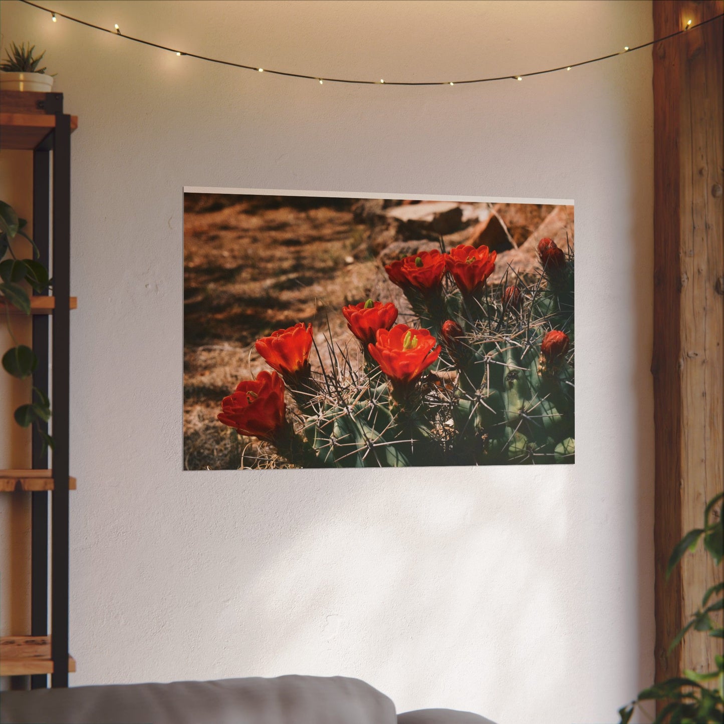 Red Cactus Blossoms in Big Bend Ranch State Park, TX - Archival Poster