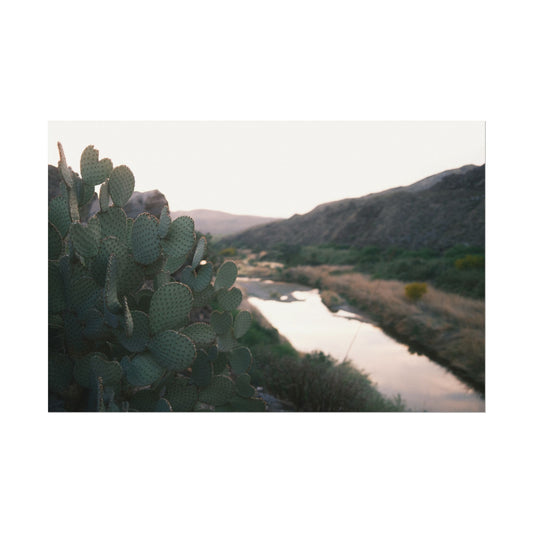 Cactus sits above the Rio Grande - Archival Poster