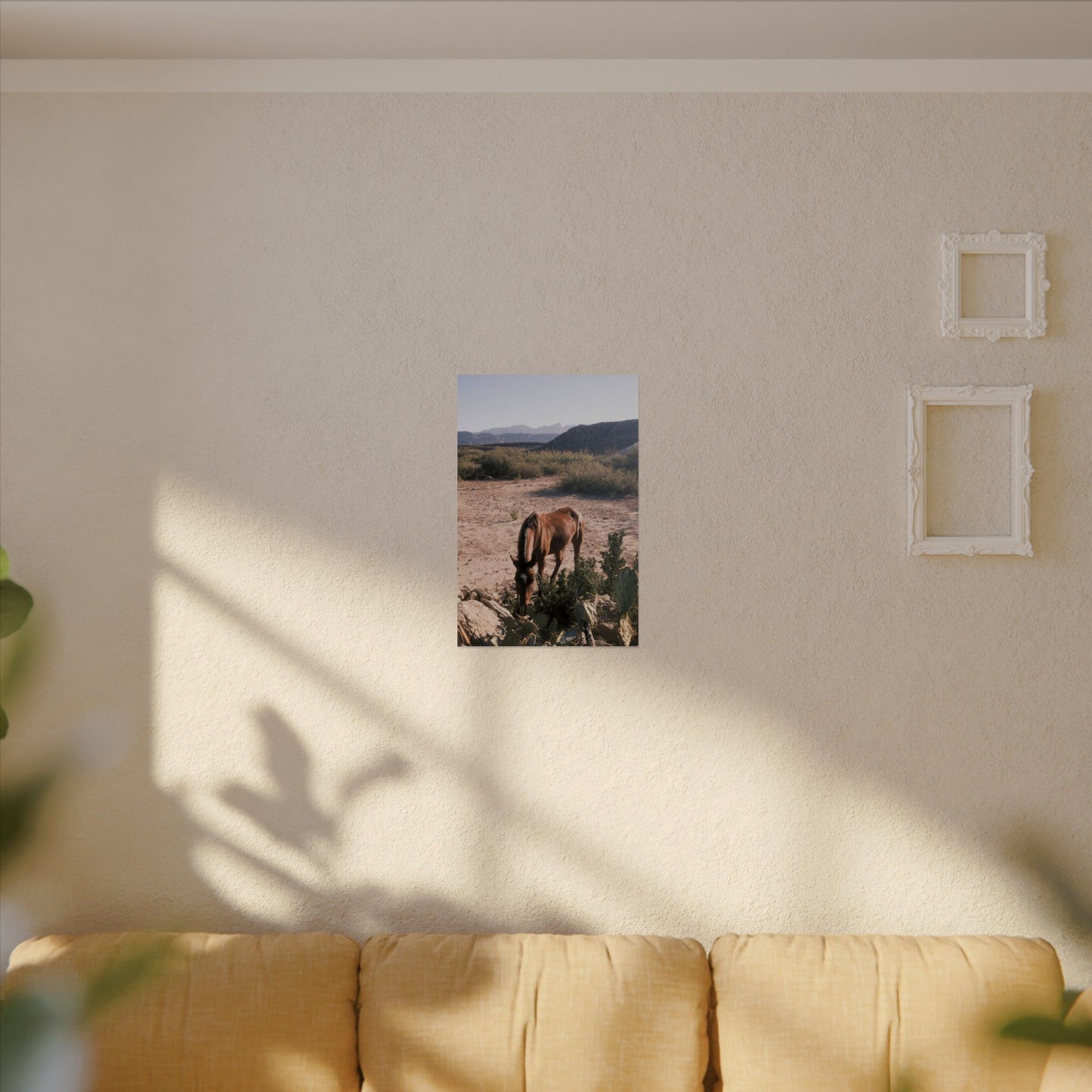 Wild horse of Big Bend grazes by a cactus, TX - Archival Poster