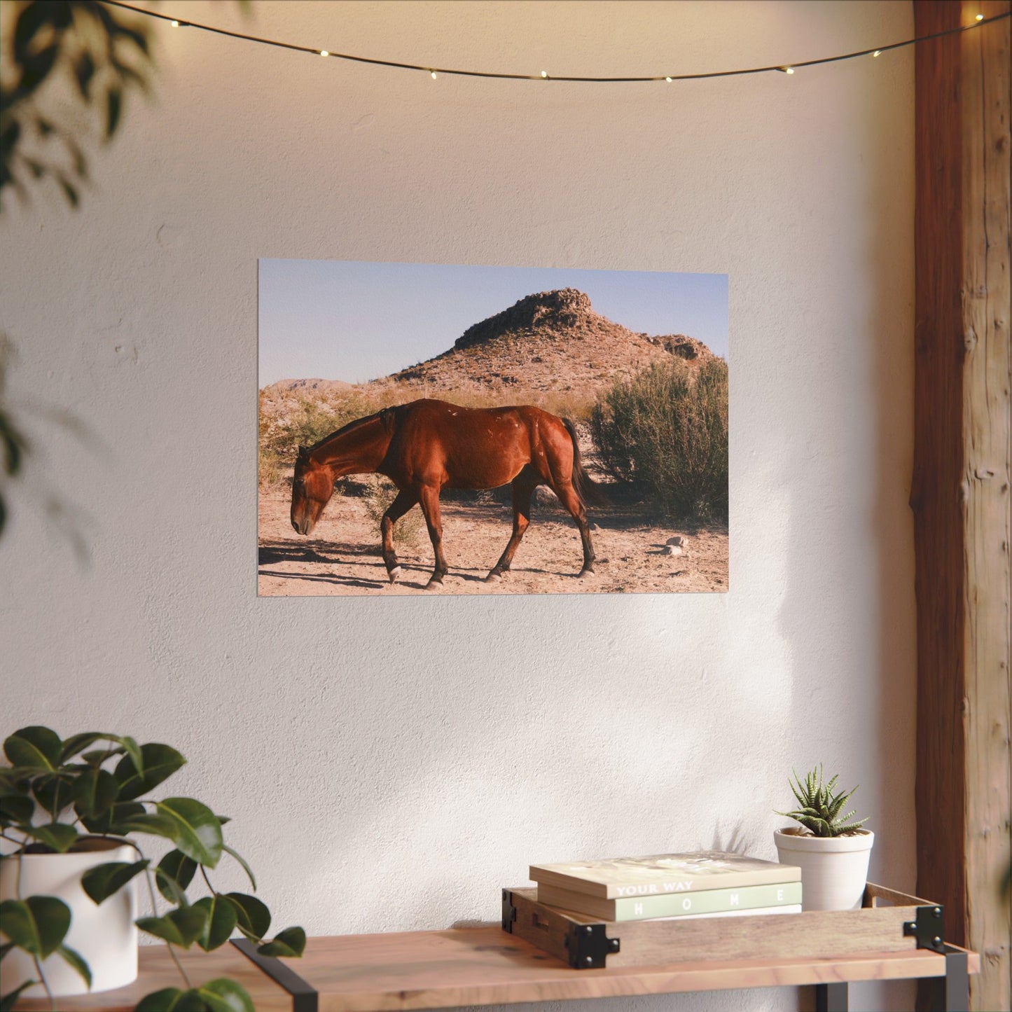 Wild horse of Big Bend grazing - Archival Poster