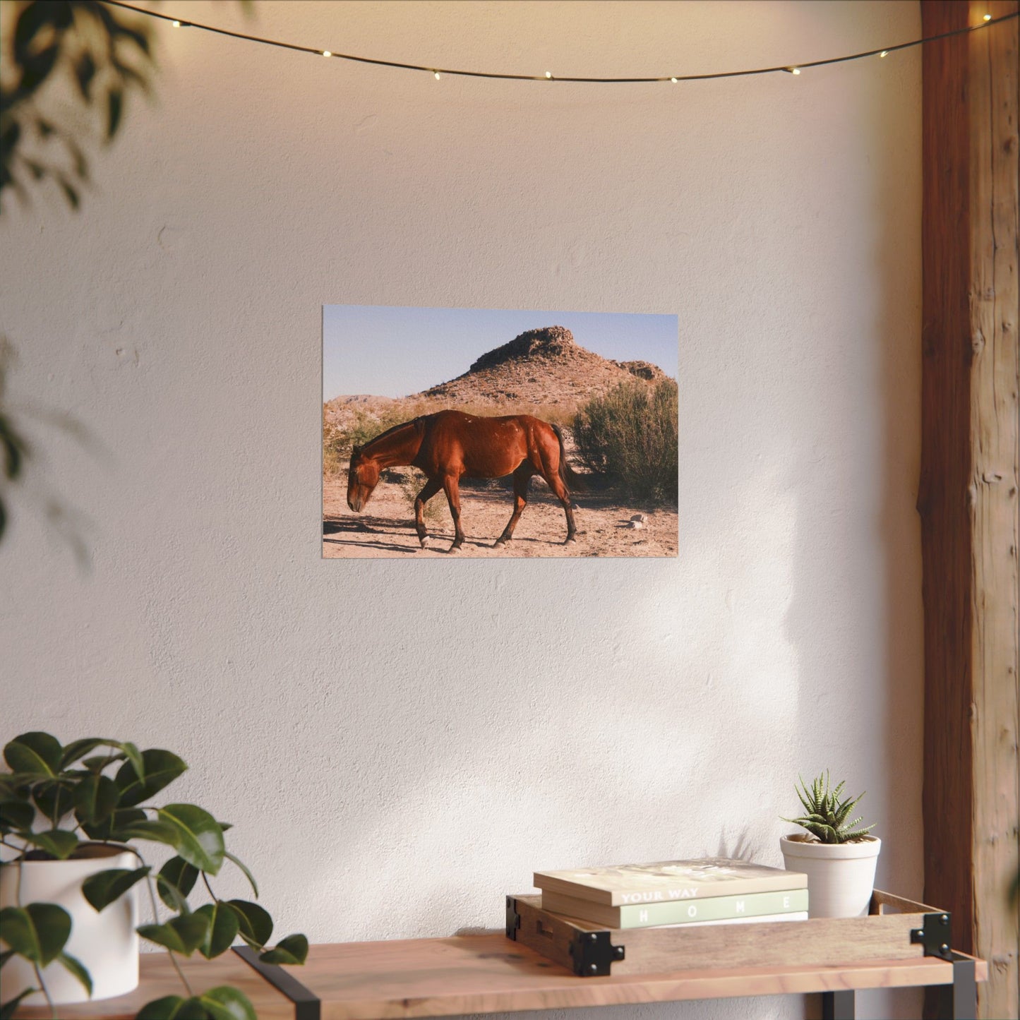 Wild horse of Big Bend grazing - Archival Poster