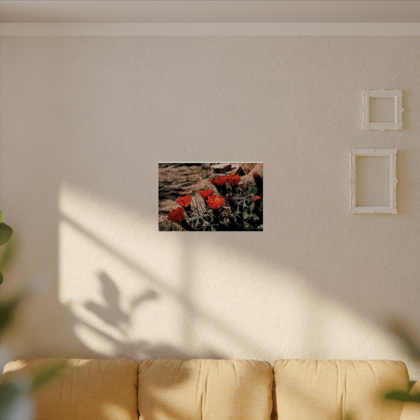 Red Cactus Blossoms in Big Bend Ranch State Park, TX - Archival Poster