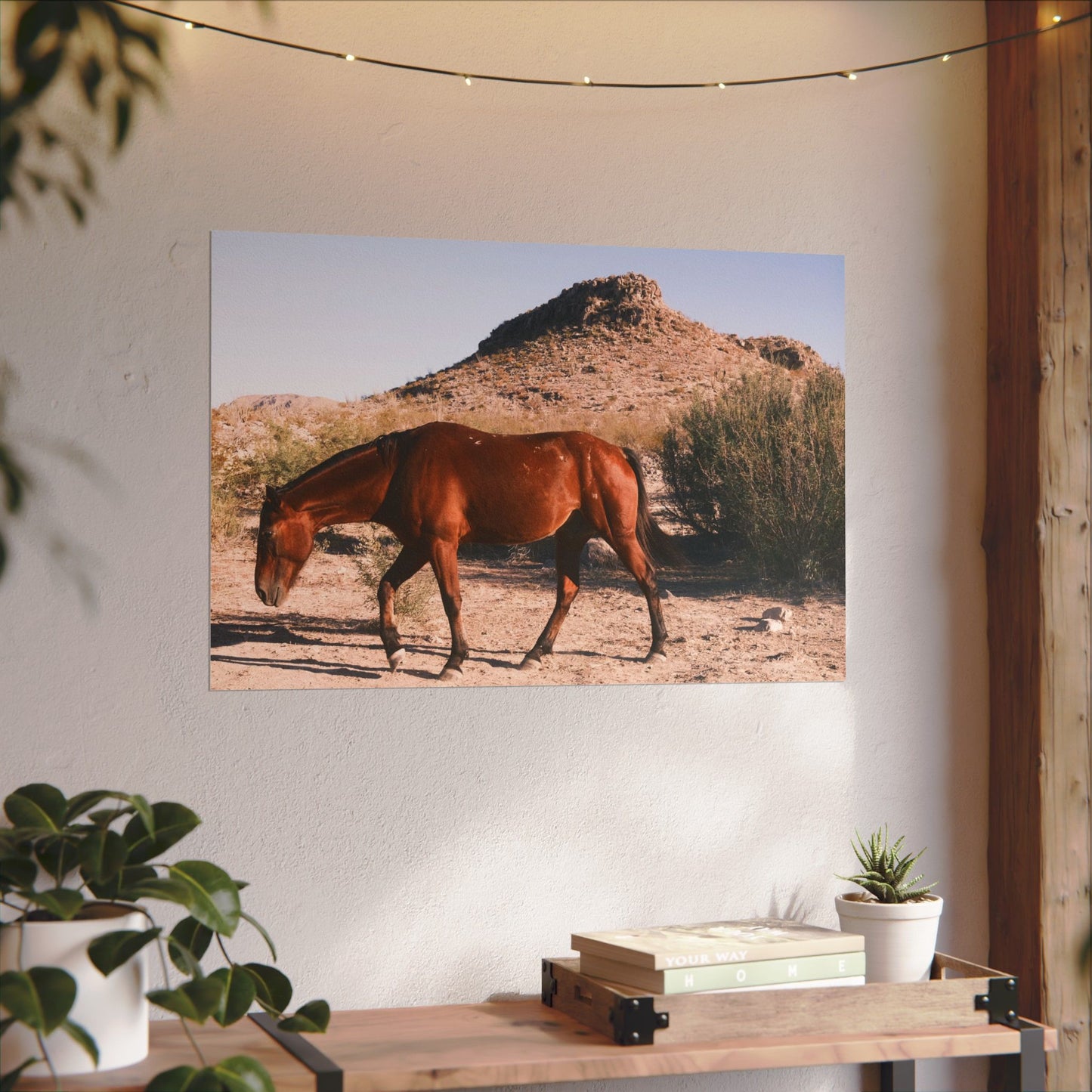 Wild horse of Big Bend grazing - Archival Poster