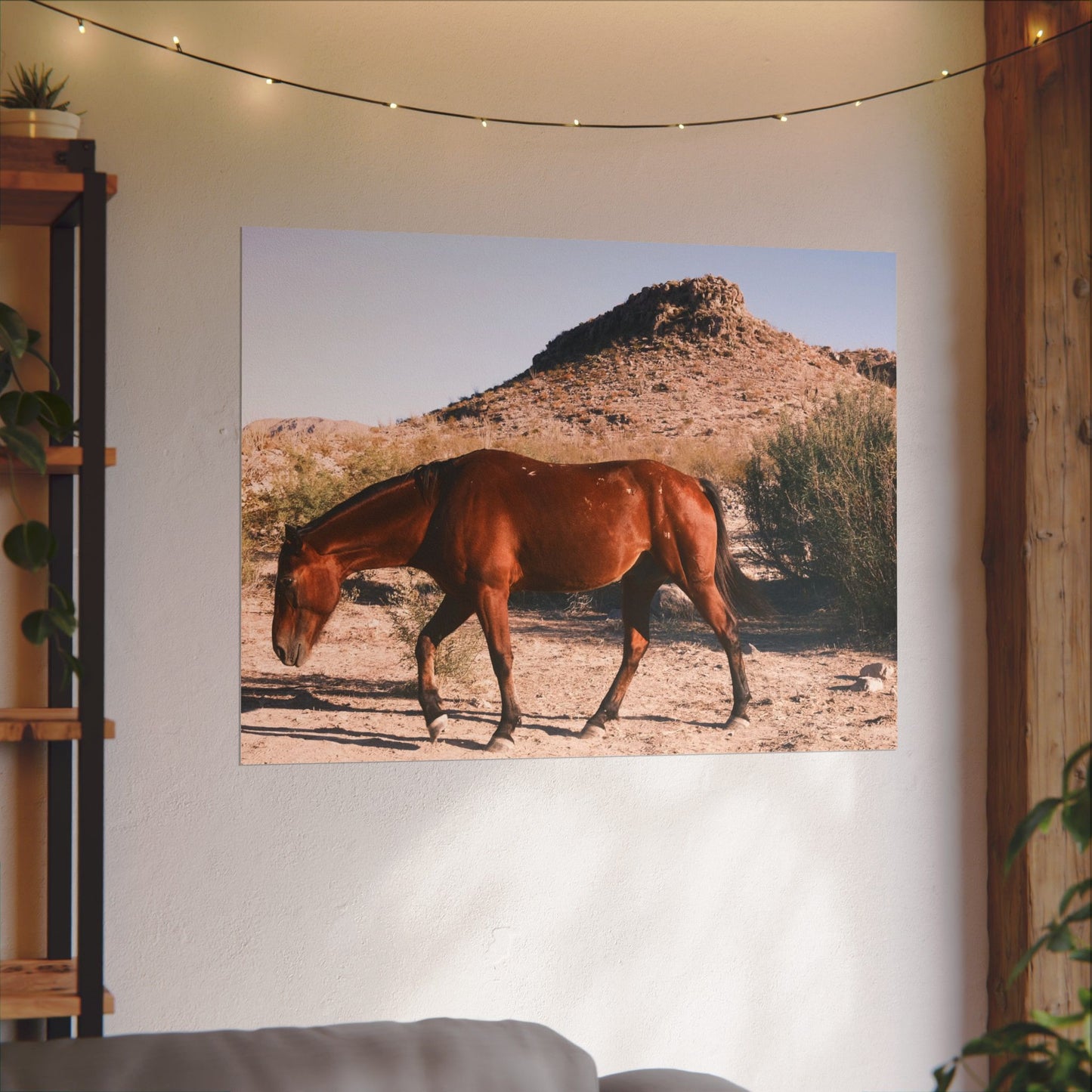 Wild horse of Big Bend grazing - Archival Poster